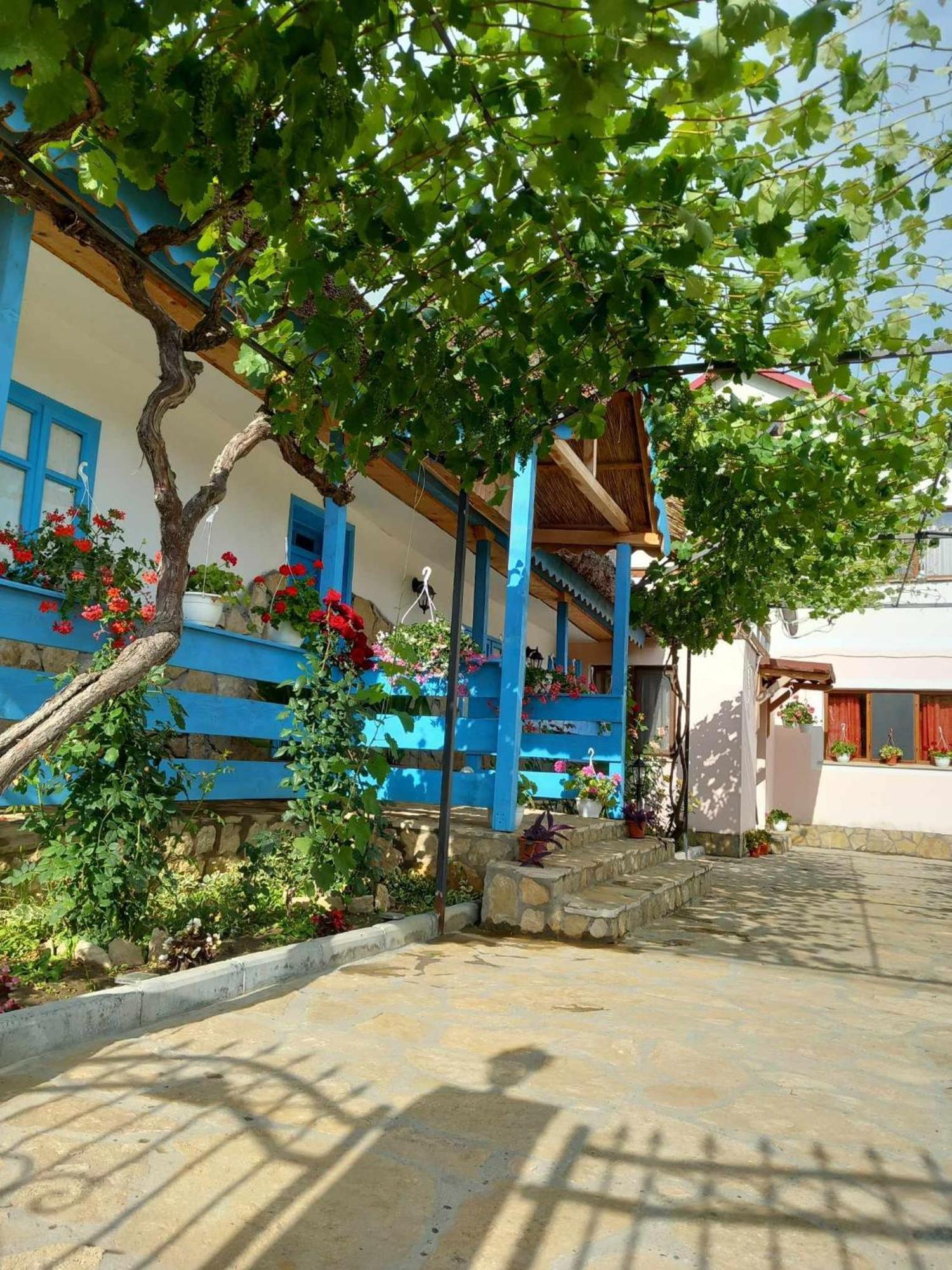Hotel Casa Rasaritul Soarelui Sarichioi Exterior foto