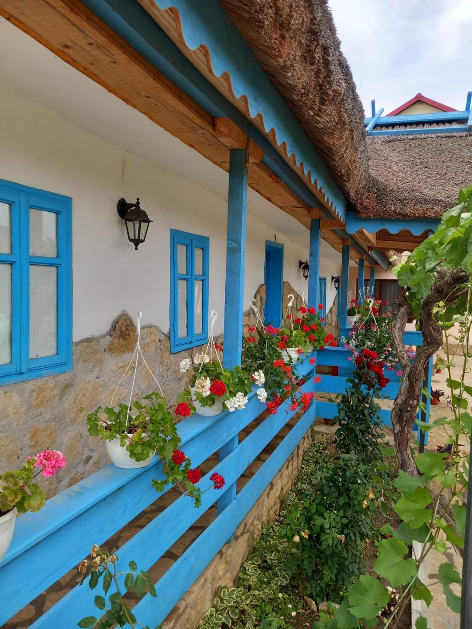 Hotel Casa Rasaritul Soarelui Sarichioi Exterior foto